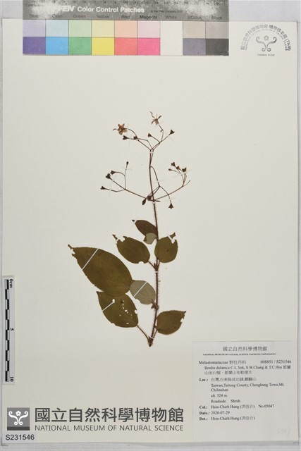 都蘭山金石榴、都蘭山布勒德木藏品圖，第1張