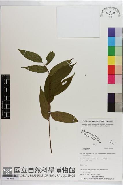 登錄號:S203546藏品圖，第1張