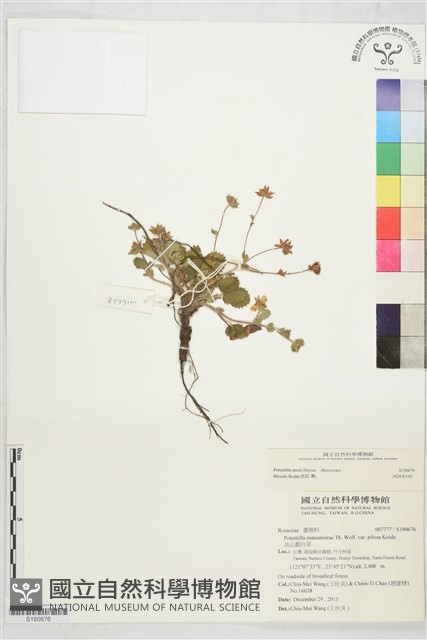 登錄號:S190676藏品圖，第1張