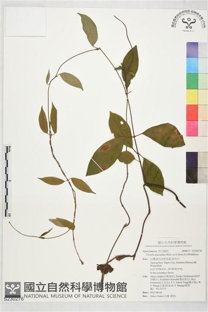 登錄號:S230276藏品圖，第1張
