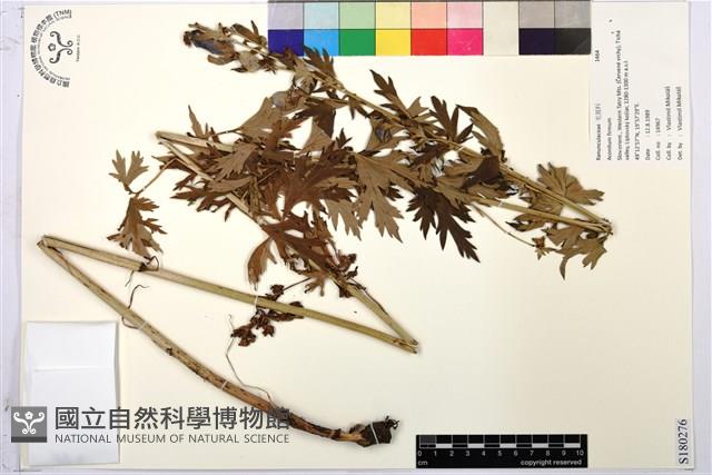 登錄號:S180276藏品圖，第1張