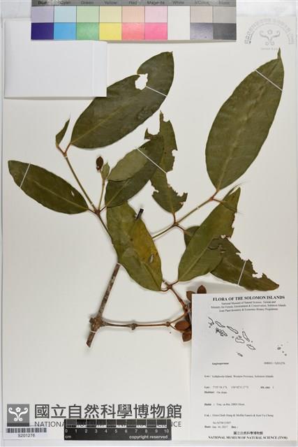 登錄號:S201276藏品圖，第1張