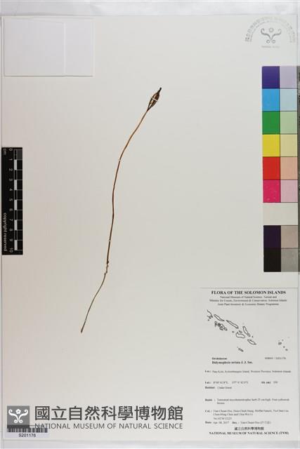 登錄號:S201176藏品圖，第1張