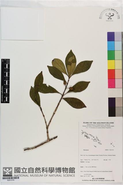 登錄號:S201376藏品圖，第1張