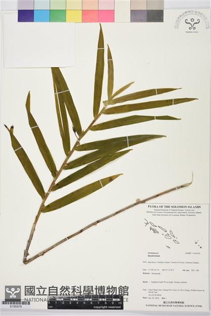 登錄號:S195976藏品圖，第1張