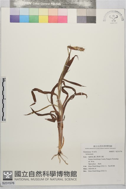 登錄號:S231576藏品圖，第1張