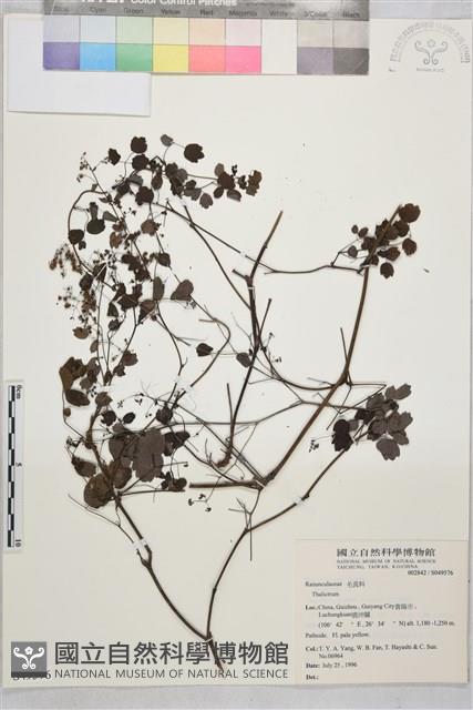 登錄號:S049576藏品圖，第1張