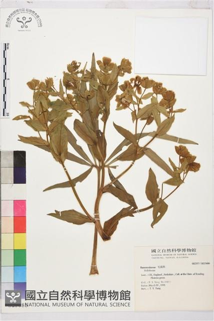 登錄號:S025686藏品圖，第1張