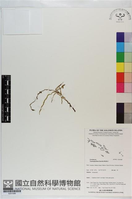 登錄號:S201086藏品圖，第1張