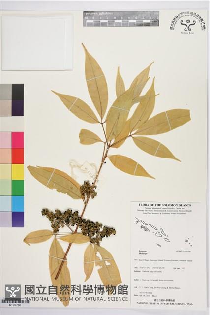 登錄號:S195786藏品圖，第1張