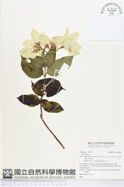 登錄號:S164786藏品圖，第1張