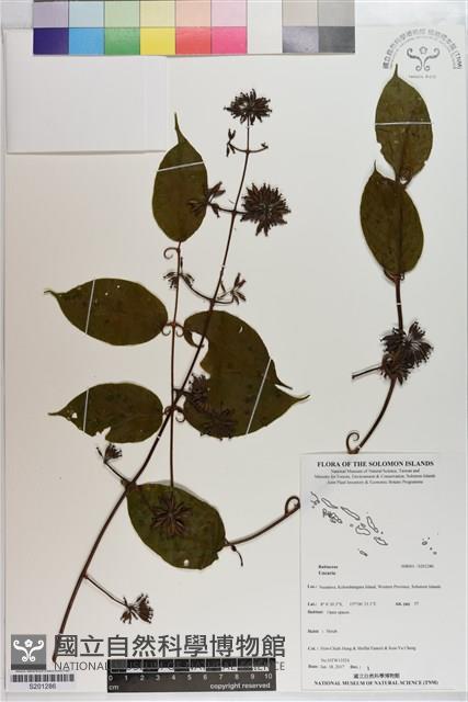 登錄號:S201286藏品圖，第1張