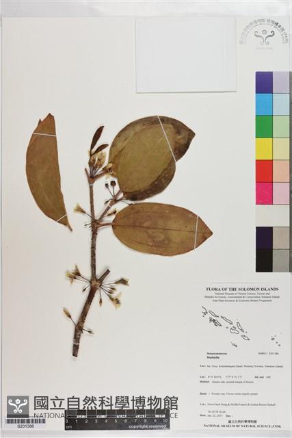 登錄號:S201386藏品圖，第1張