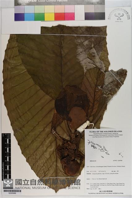 登錄號:S200986藏品圖，第1張