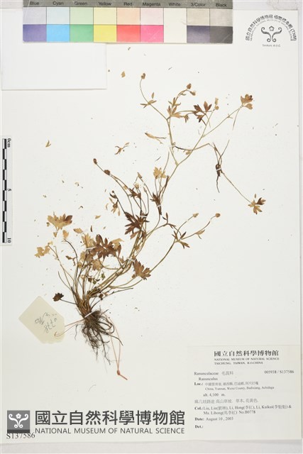 登錄號:S137586藏品圖，第1張