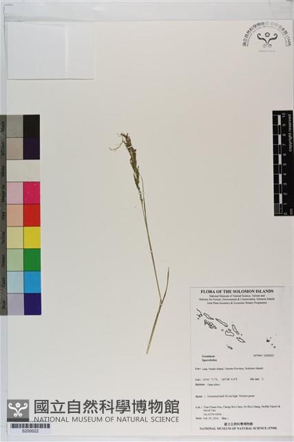 登錄號:S200022藏品圖，第1張