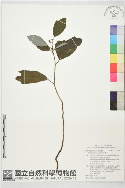 登錄號:S230222藏品圖，第1張