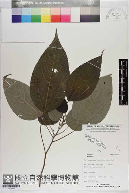 登錄號:S201222藏品圖，第1張