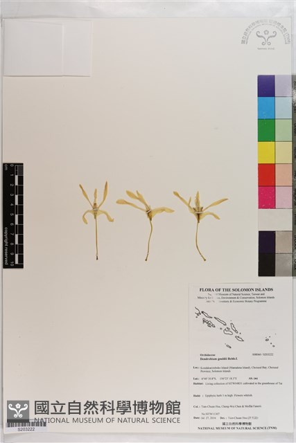 登錄號:S203222藏品圖，第1張