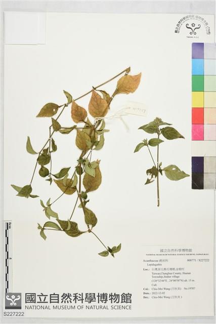 登錄號:S227222藏品圖，第1張