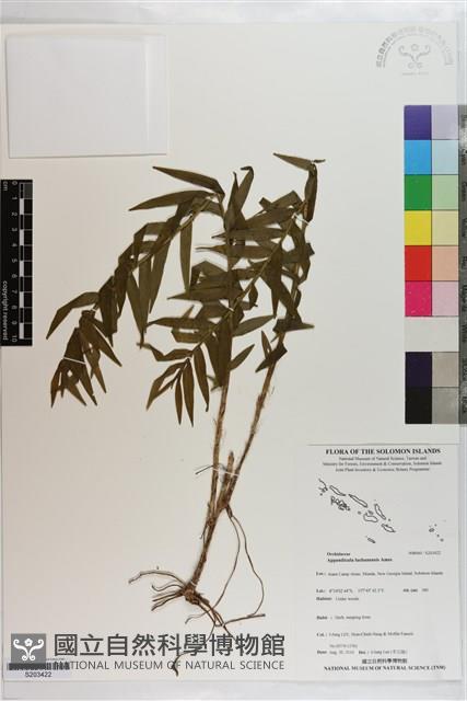 登錄號:S203422藏品圖，第1張