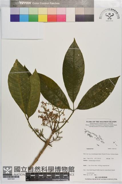 登錄號:S201322藏品圖，第1張