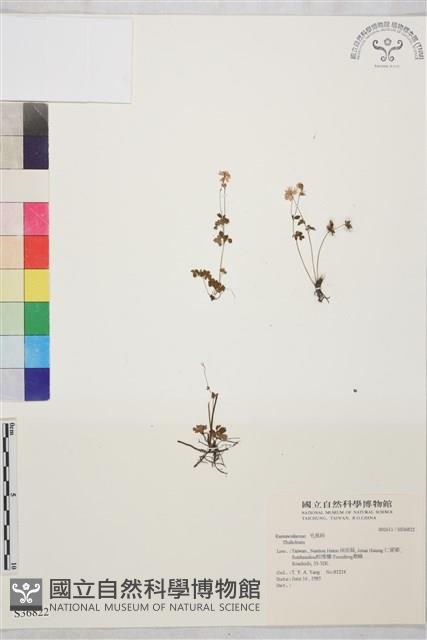 登錄號:S036822藏品圖，第1張