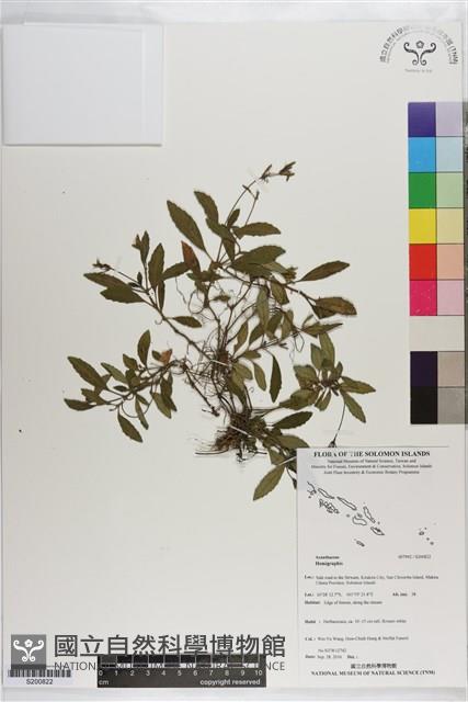 登錄號:S200822藏品圖，第1張