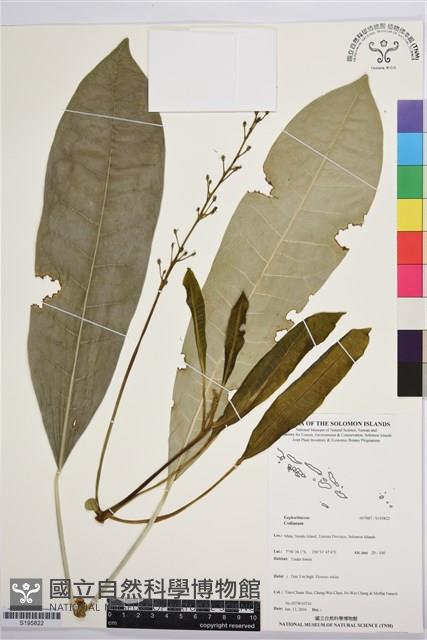 登錄號:S195822藏品圖，第1張