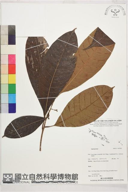 登錄號:S207822藏品圖，第1張