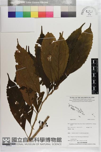 登錄號:S203522藏品圖，第1張