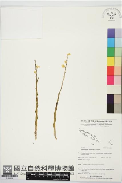 登錄號:S196002藏品圖，第1張