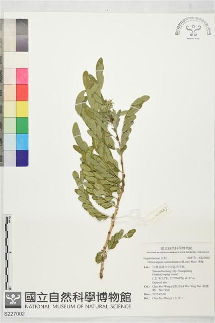 濱槐藏品圖，第1張