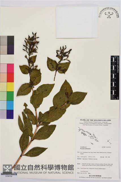 登錄號:S195702藏品圖，第1張