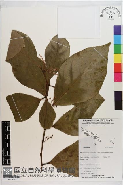 登錄號:S200202藏品圖，第1張