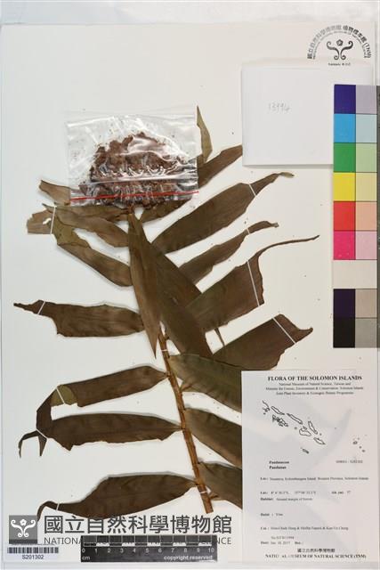 登錄號:S201302藏品圖，第1張