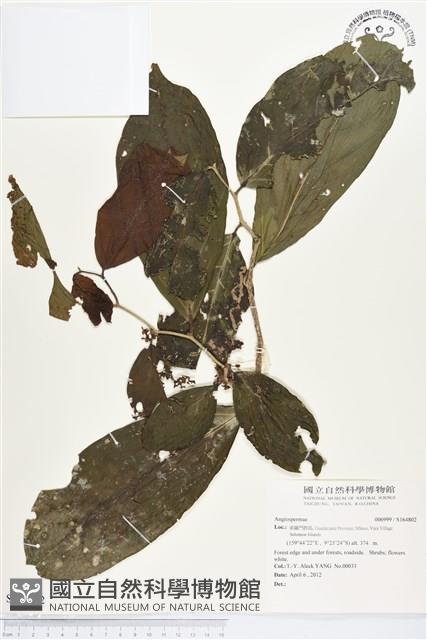 登錄號:S164802藏品圖，第1張