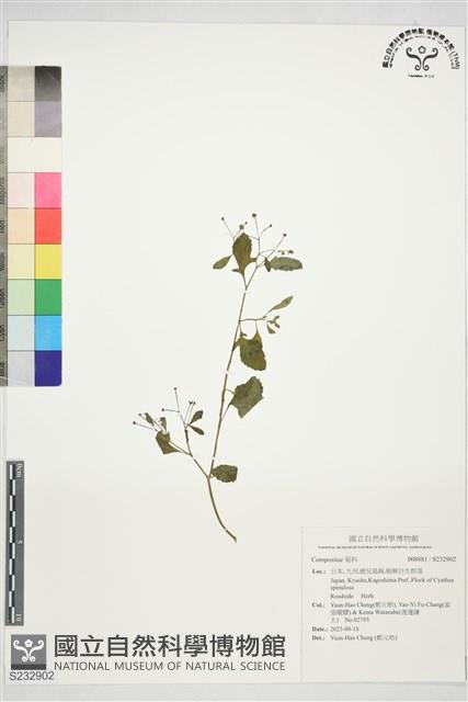 登錄號:S232902藏品圖，第1張
