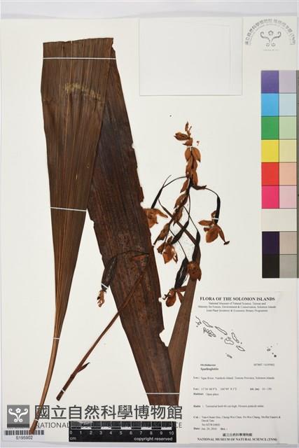 登錄號:S195902藏品圖，第1張