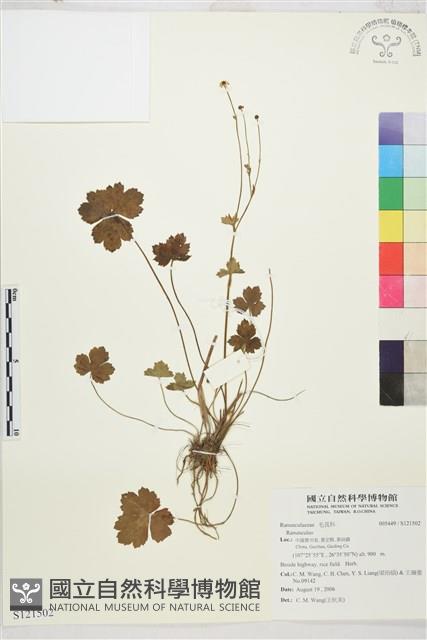 登錄號:S121502藏品圖，第1張