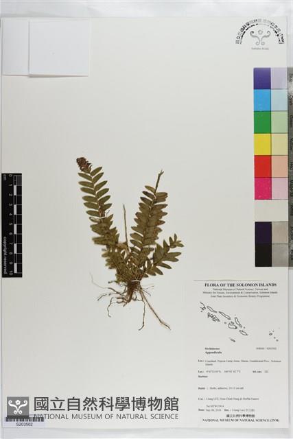 登錄號:S203502藏品圖，第1張