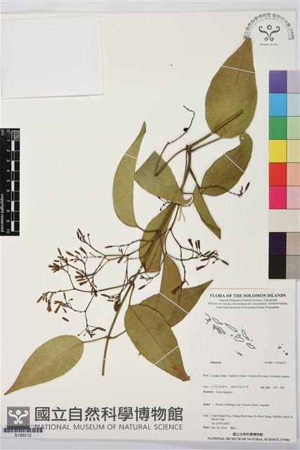 登錄號:S196012藏品圖，第1張