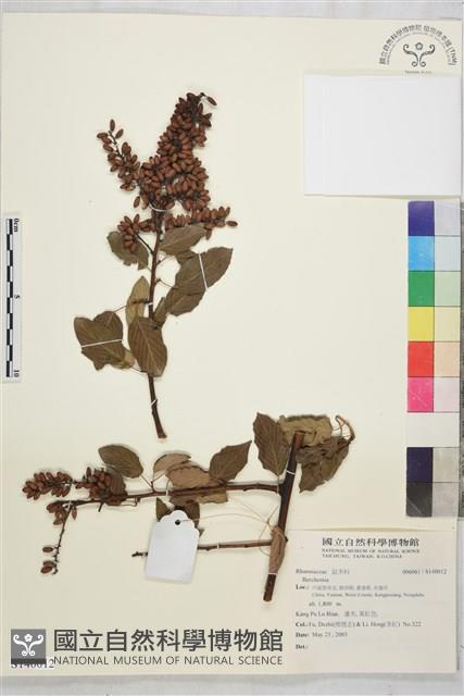 登錄號:S140012藏品圖，第1張