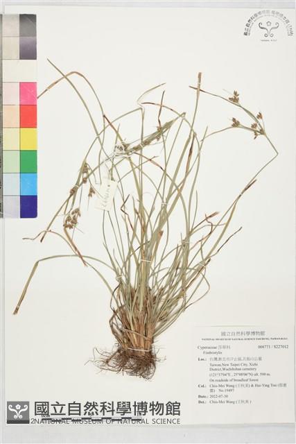 登錄號:S227012藏品圖，第1張