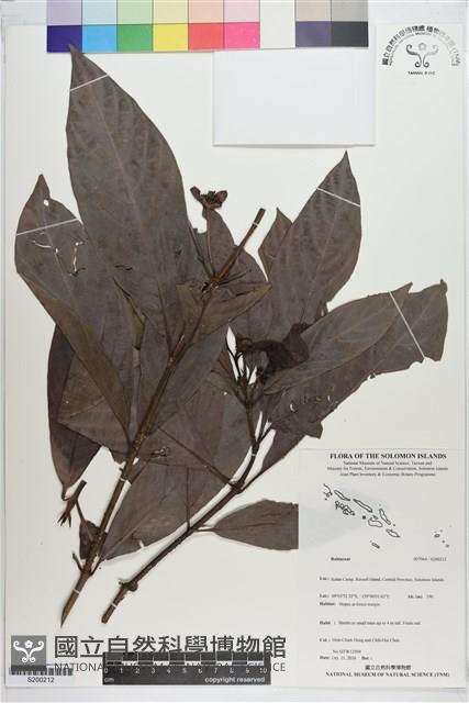 登錄號:S200212藏品圖，第1張