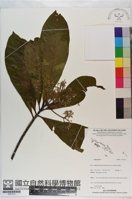 登錄號:S201212藏品圖，第1張