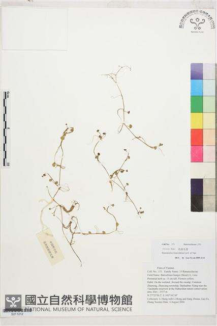 Accession Number:S211212 Collection Image