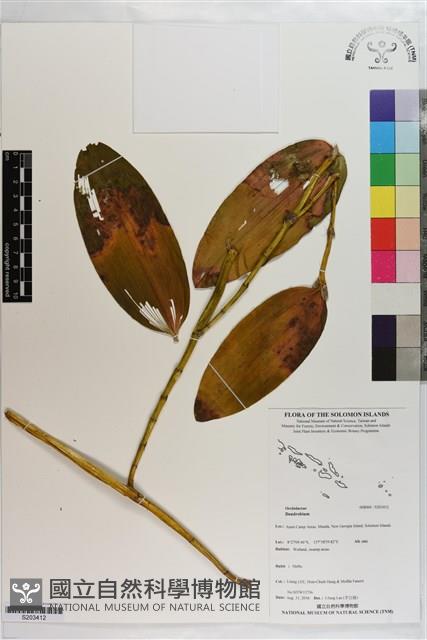 登錄號:S203412藏品圖，第1張