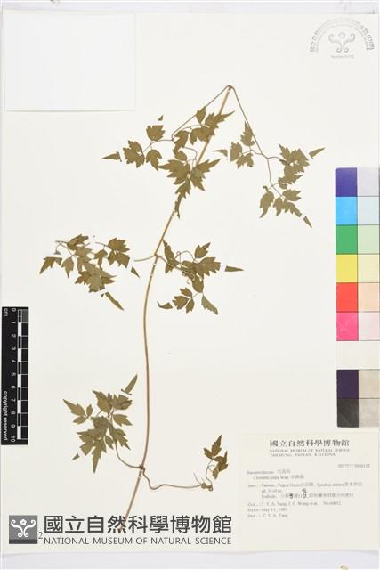 Accession Number:S046112 Collection Image, Figure 2, Total 2 Figures