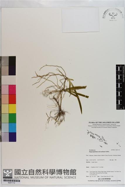 登錄號:S201112藏品圖，第1張